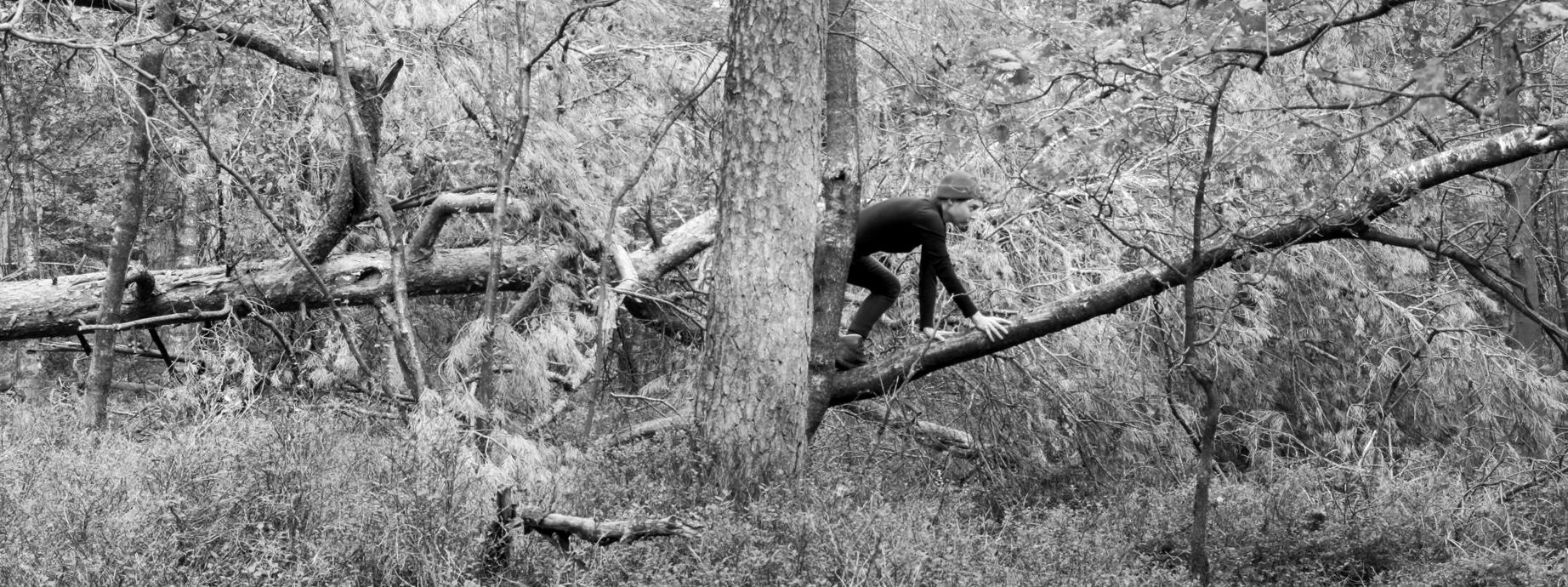 A black and white image of a person perched in the woods, climbing up a fallen tree by trees among foliage.