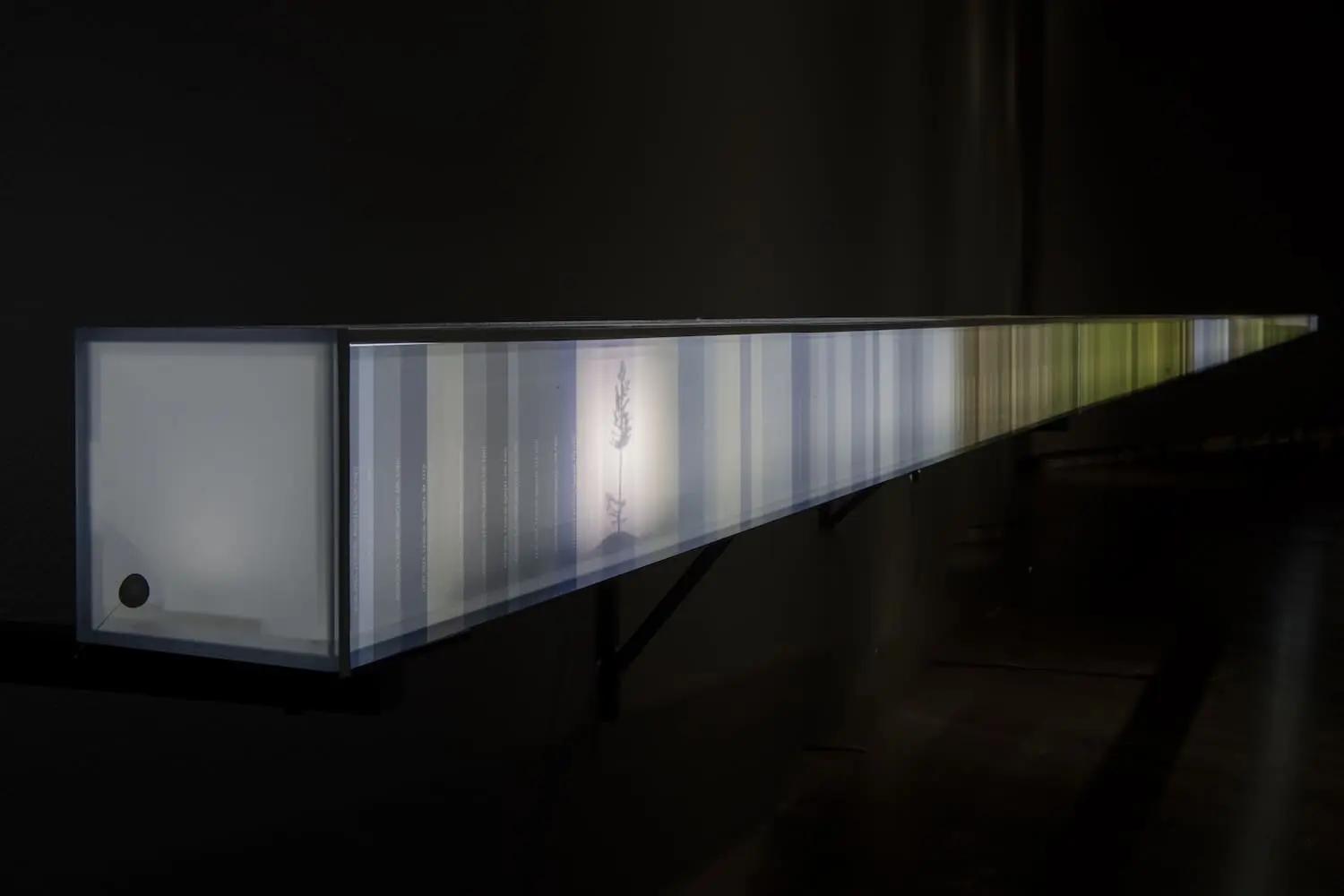 A minimalist white, blue and green light fixture stretching horizontally on a black background.