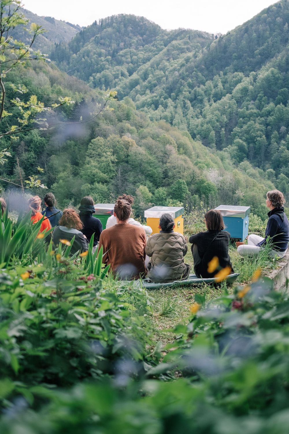 People from Robida looking towards the mountains during Village as Ecological Entity beekeeping workshop guided by Erika Mayr.